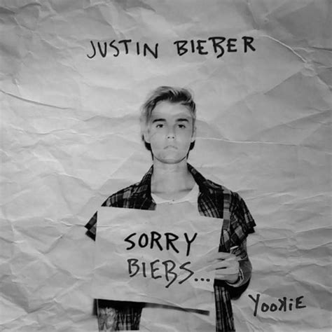 justin bieber sorry genre